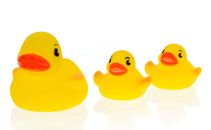 Play 'n' Splash Ducks 3pc
