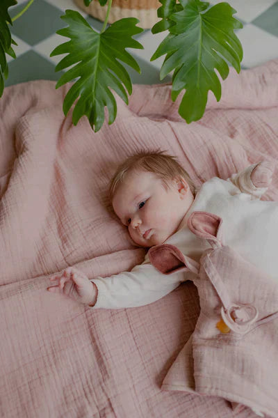 BIBS Cuddle Cloth Kangaroo