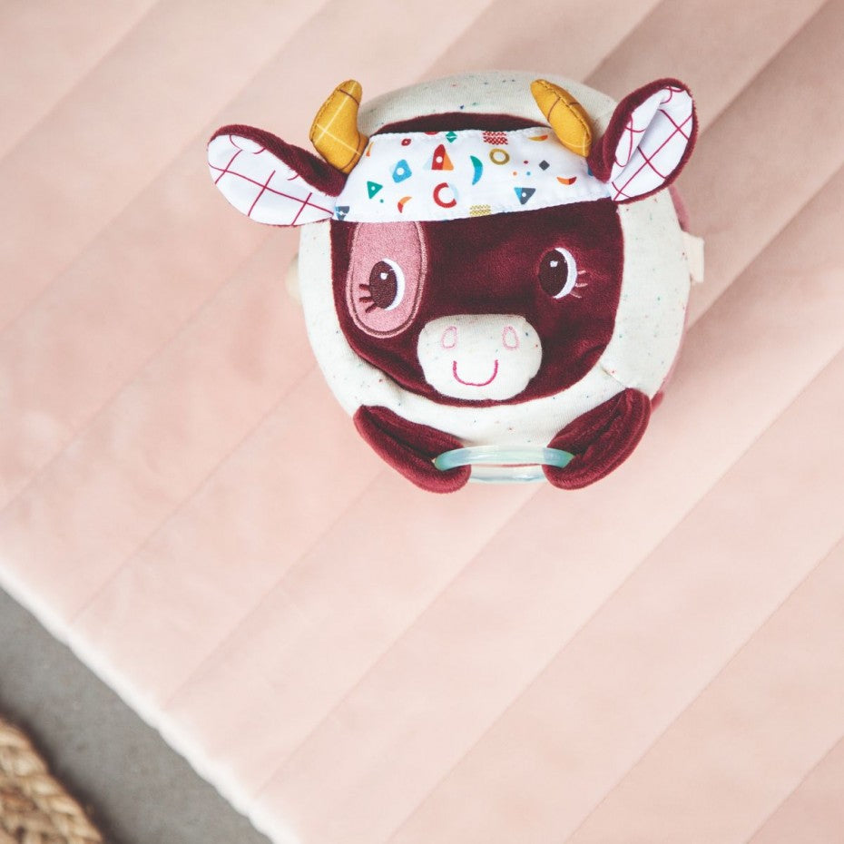 Rosalie Discovery Cow