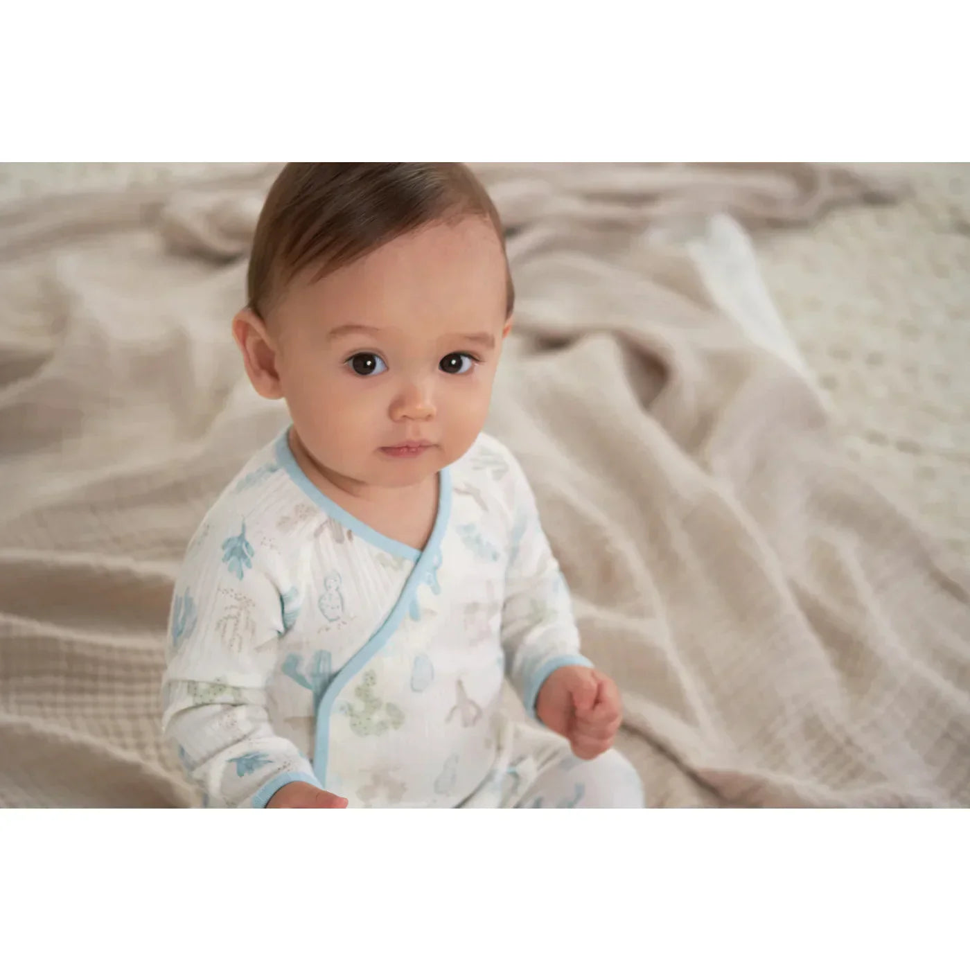 Take Me Home Desert Cactus Set 2pc