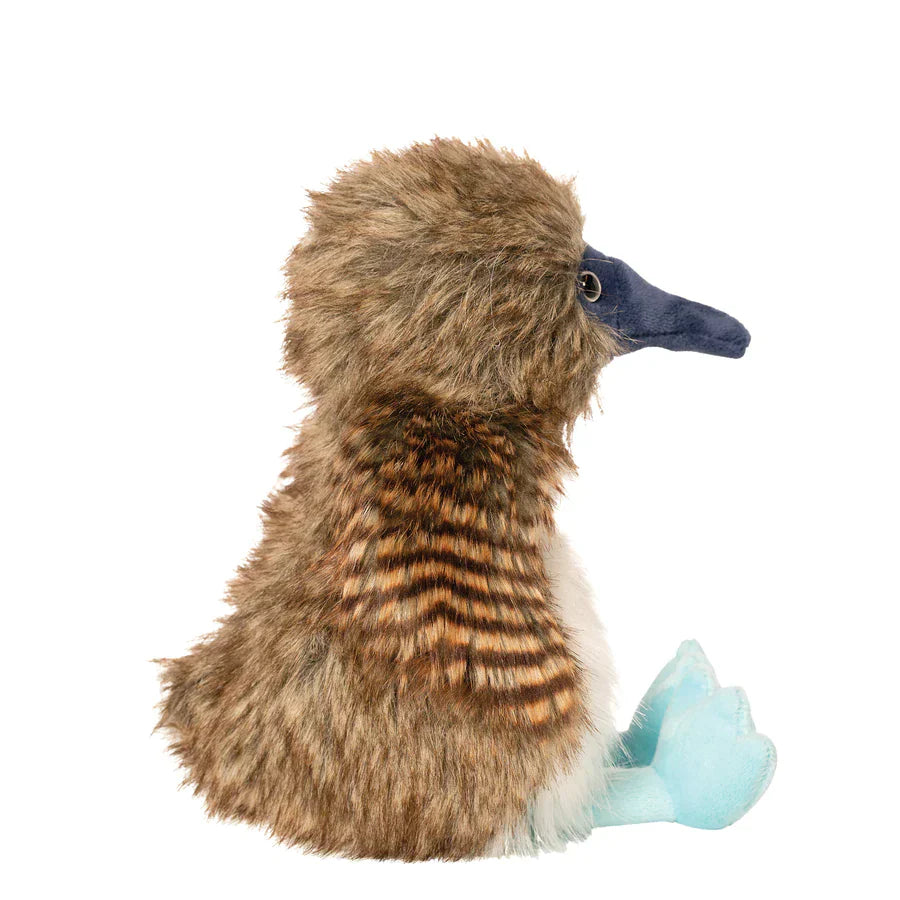 Benny The Blue Footed Boobie