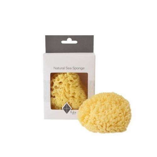 Sea Sponge
