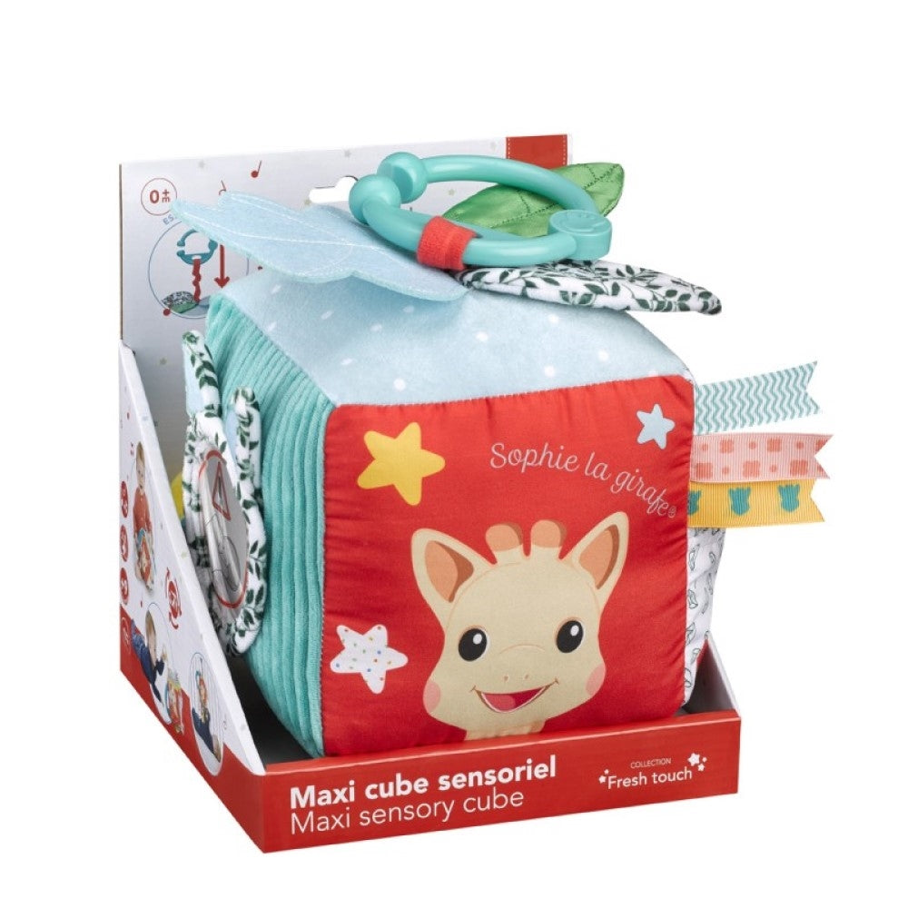 Maxi Sensory Cube