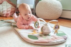 Boho Chic 2-in-1 Take Along Deluxe Bassinet