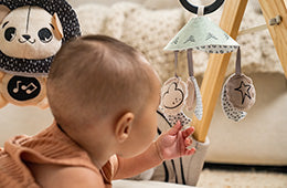 Black & White Luxe Developmental Gymin