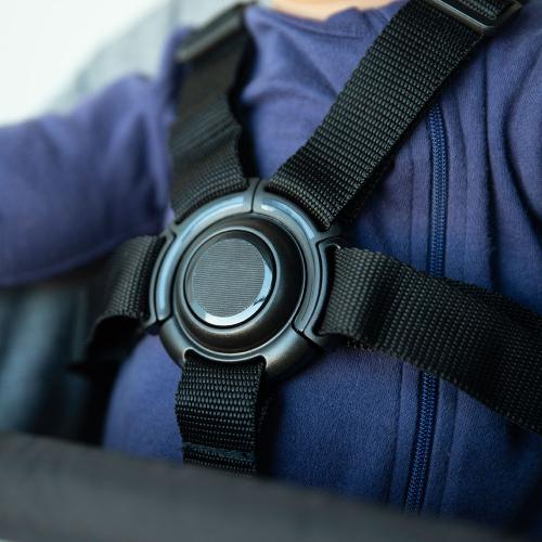 Perch Portable High Chair