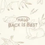 Sleepsac Swaddle 100% Cotton