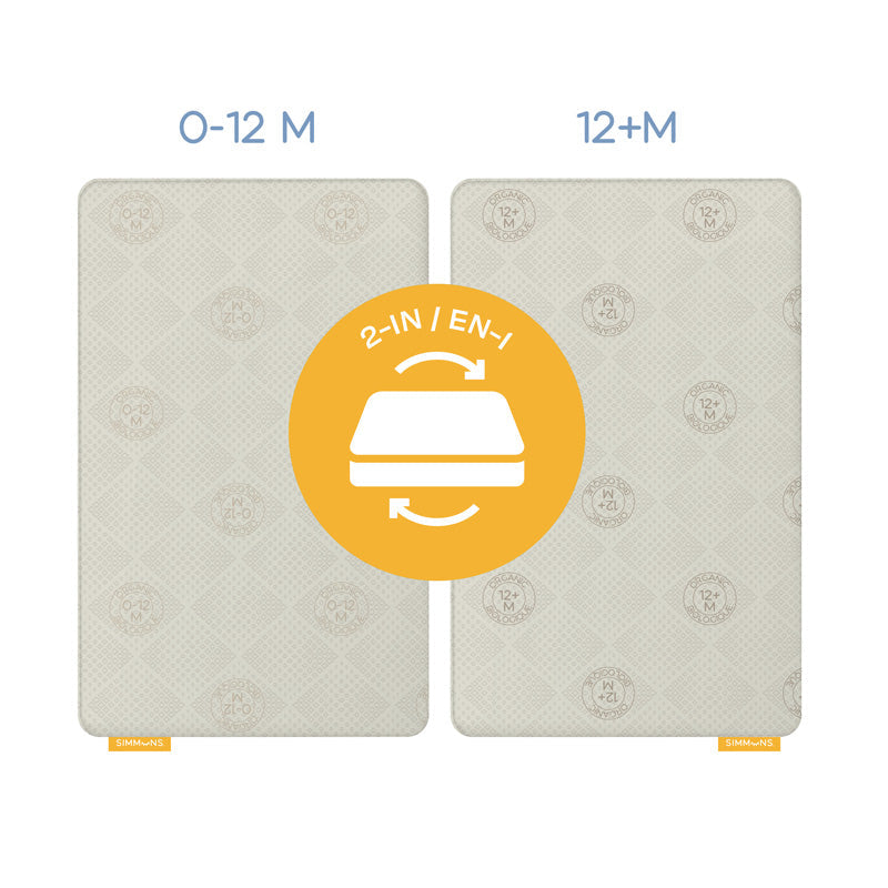 Simmons Genesis In Box