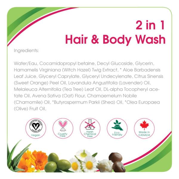 2 In 1 Hair & Body Wash