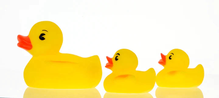 Play 'n' Splash Ducks 3pc