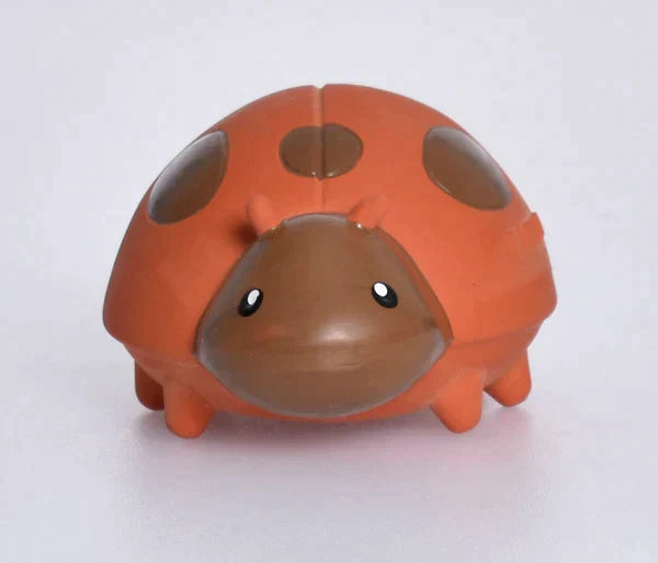 Ladybug Natural Rubber Teether Rattle & Bath Toy