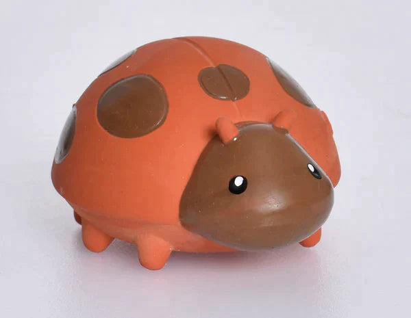 Ladybug Natural Rubber Teether Rattle & Bath Toy