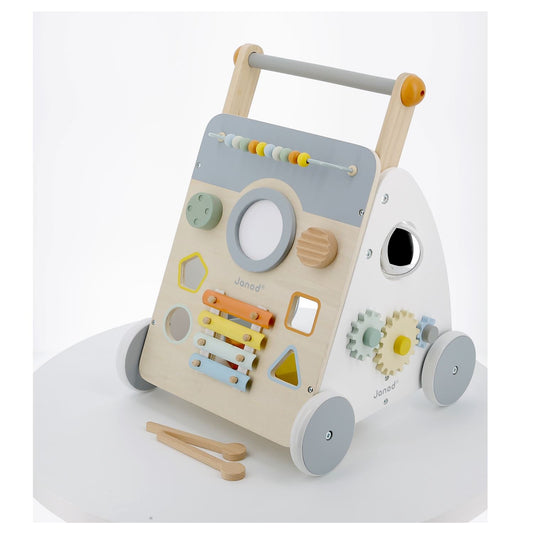 Sweet Cocoon Multi-Activity walker