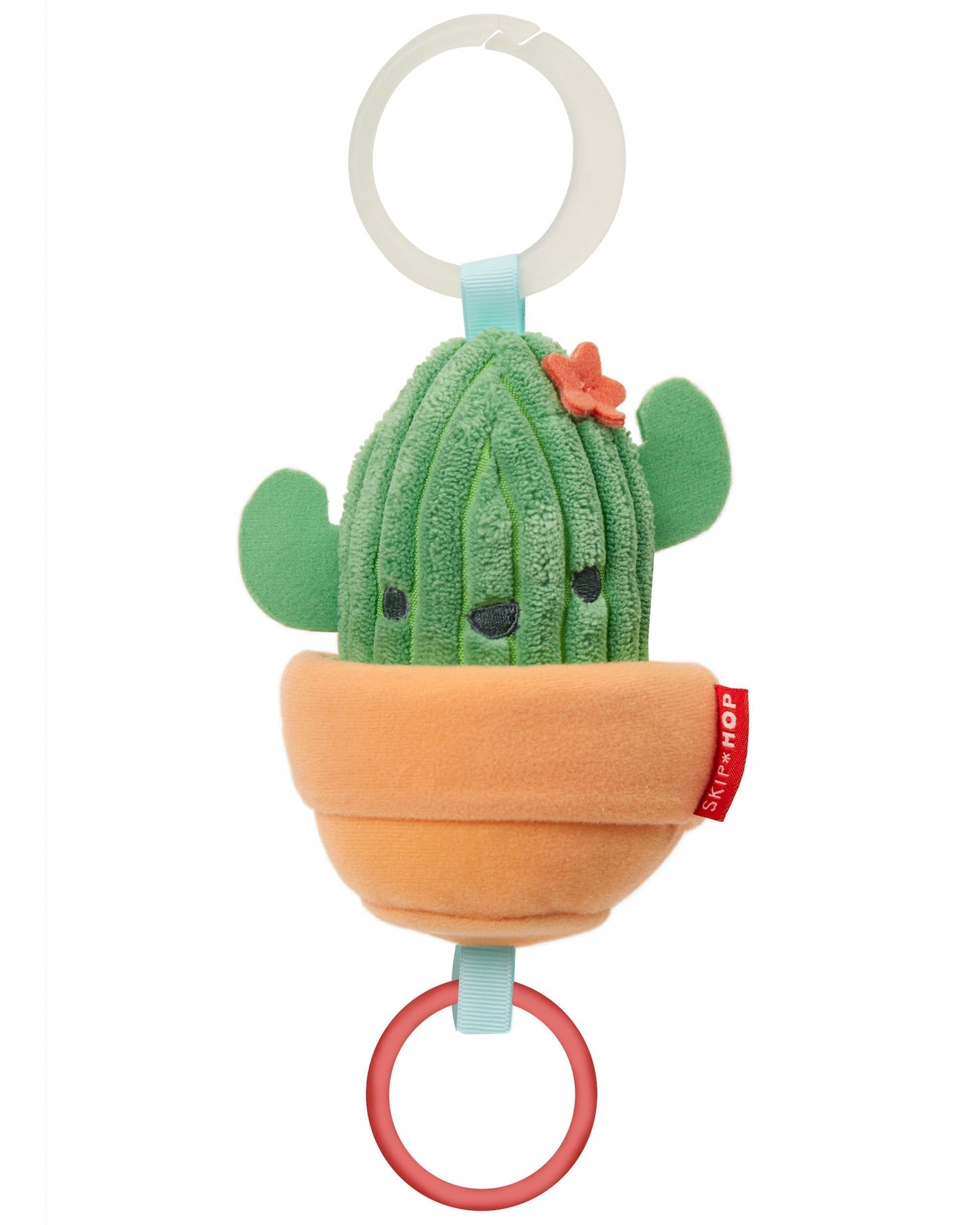 Farmstand Jitter Cactus