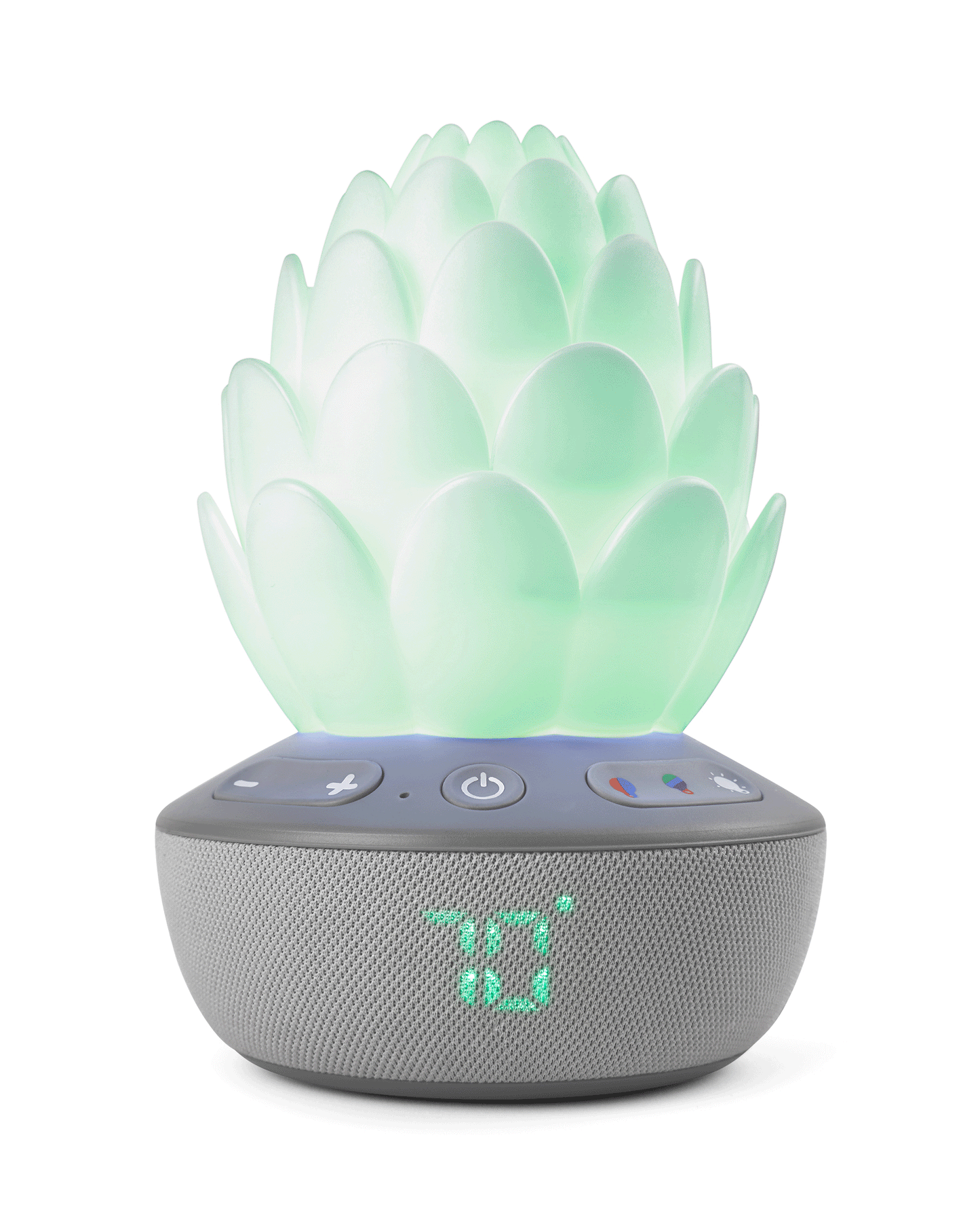 Succulent Glow Sound Machine