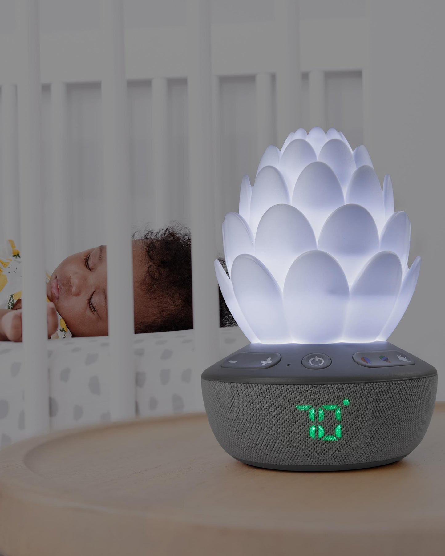 Succulent Glow Sound Machine