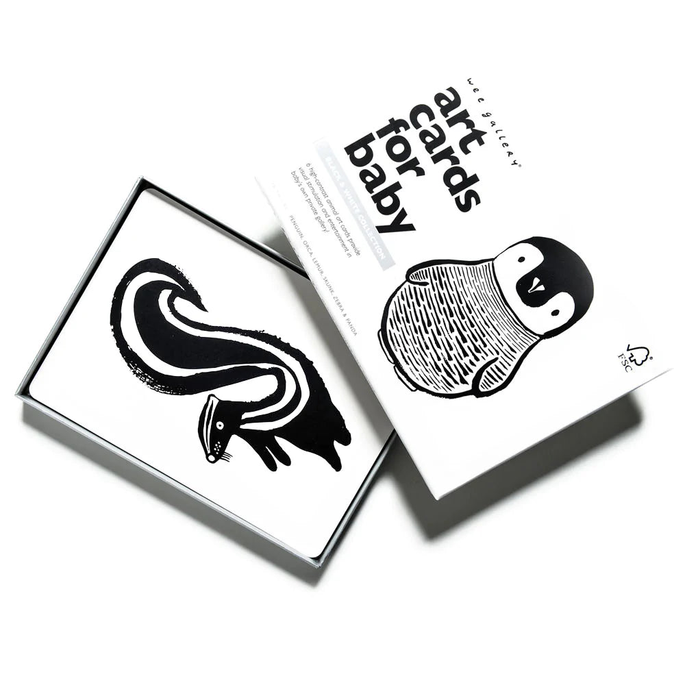 Art Cards - Black And White Collection
