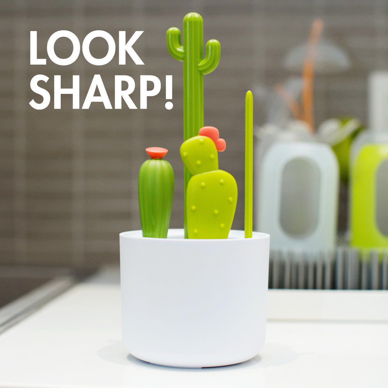 CACTI Bottle Cleaning Replacement Brush Set