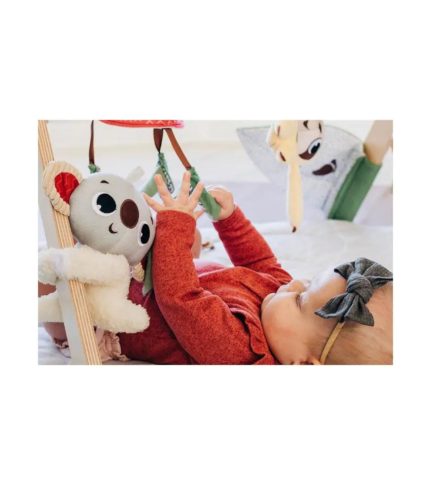 Boho Chic Luxe Developmental Gymini