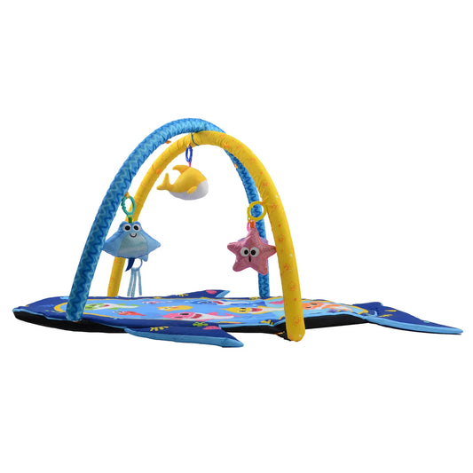 Entertainer with Music & Sounds