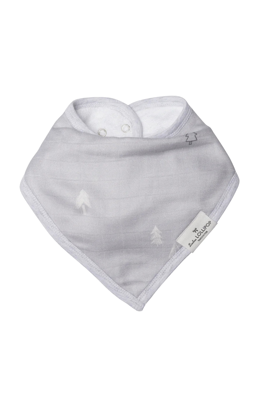 Bandana Bib Set