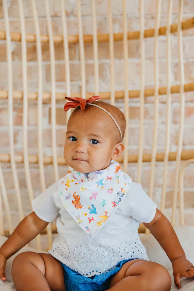 Bandana Bib 4 Pk