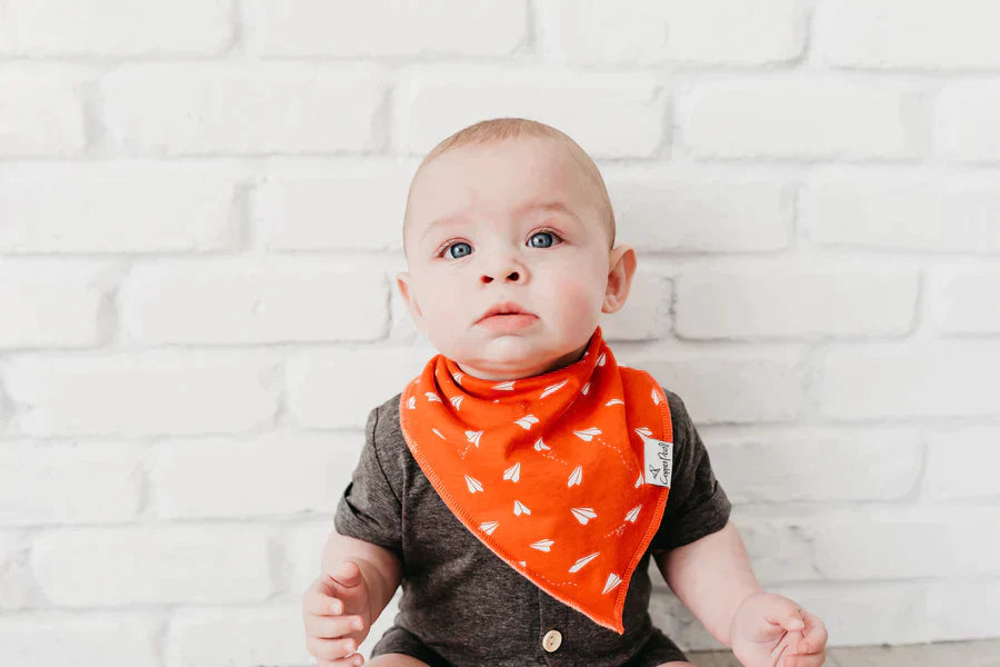 Bandana Bib 4 Pk