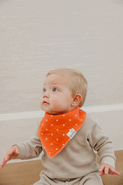 Bandana Bib 4 Pk