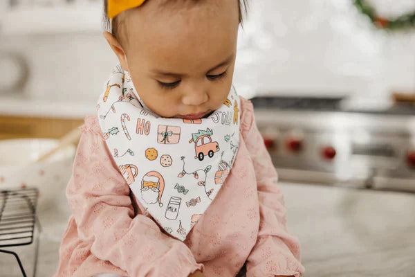 Bandana Bib 4 Pk