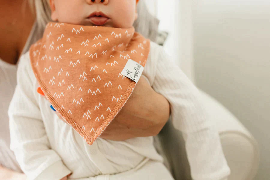 Bandana Bib 4 Pk