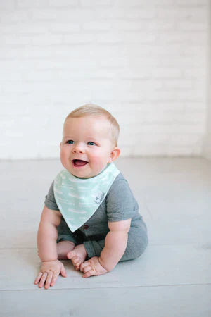 Bandana Bib 4 Pk