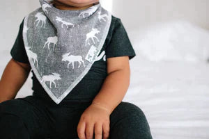 Bandana Bib 4 Pk