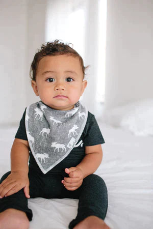 Bandana Bib 4 Pk