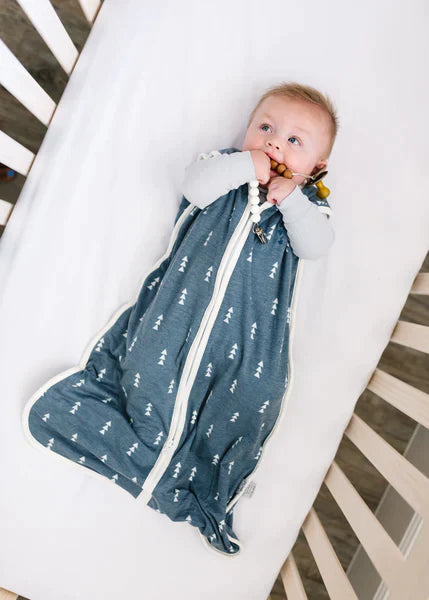 Sleep Bag North 0-6m