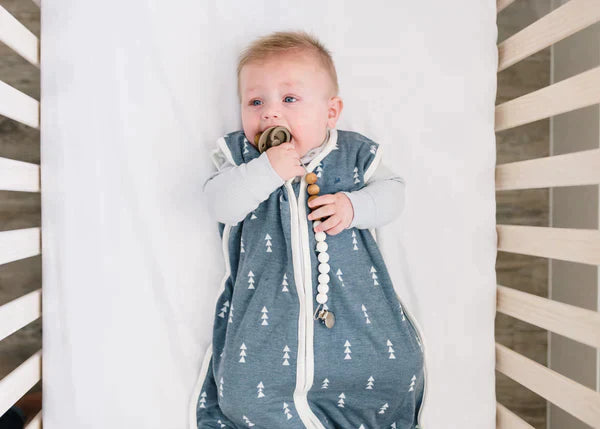 Sleep Bag North 0-6m