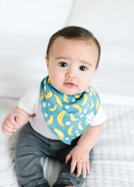 Bandana Bib 4 Pk