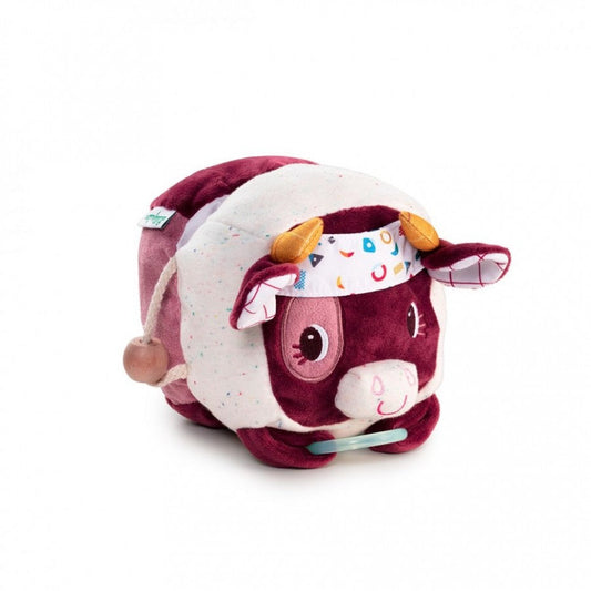 Rosalie Discovery Cow