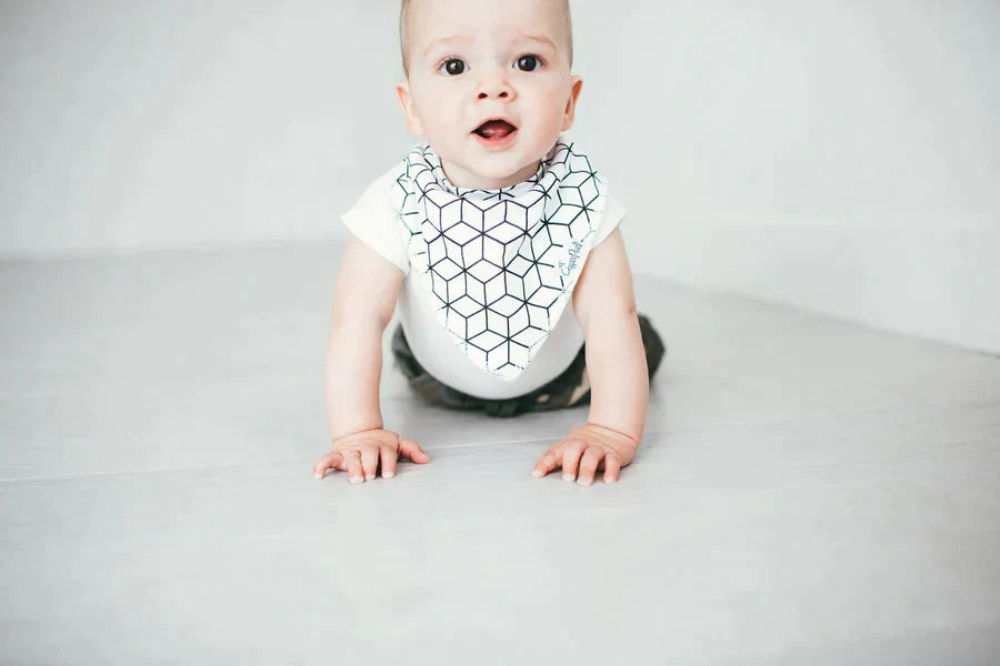Bandana Bib 4 Pk