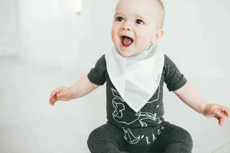 Bandana Bib 4 Pk