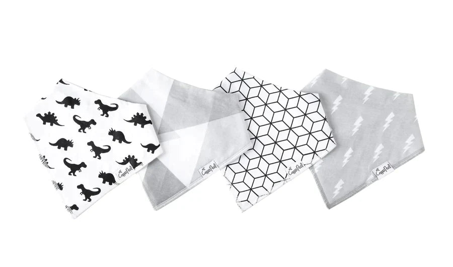 Bandana Bib 4 Pk