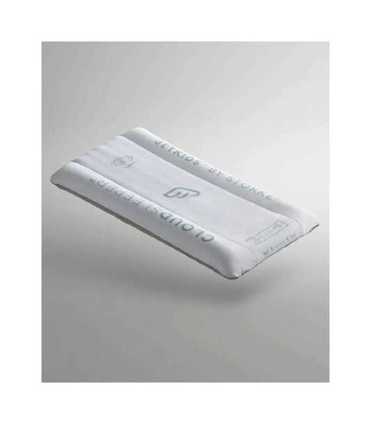 CloudSleeper Inflatable Kids Bed