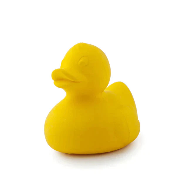 Small Duck