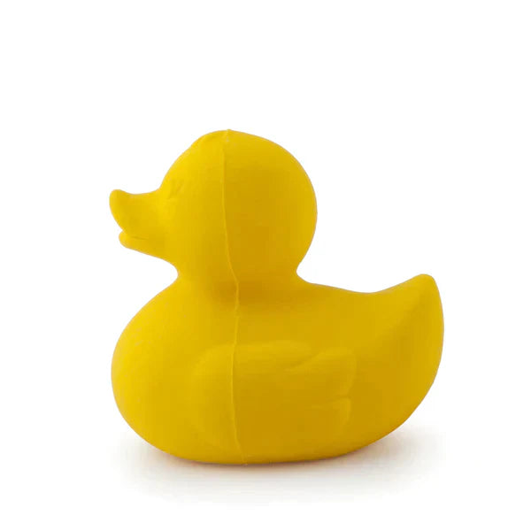 Small Duck