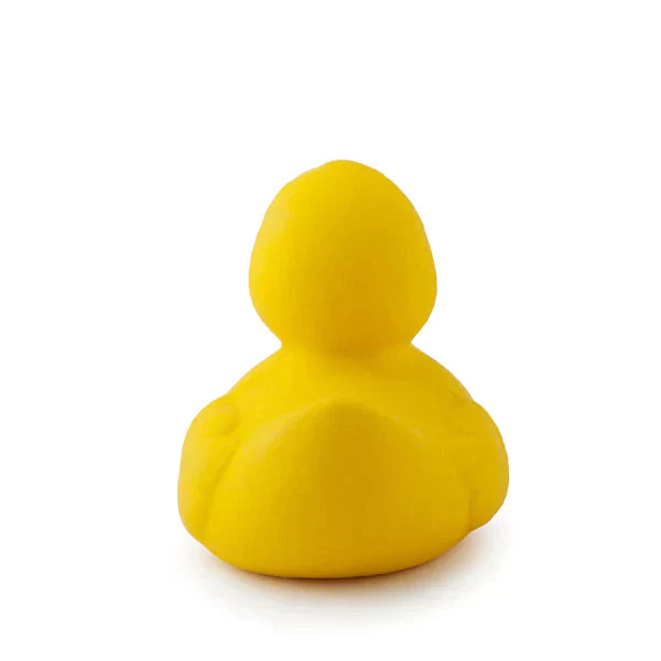 Small Duck