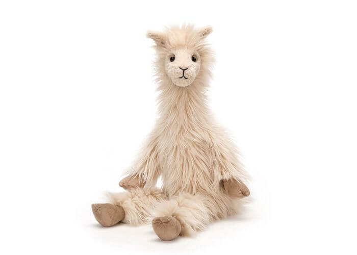 Luis Llama
