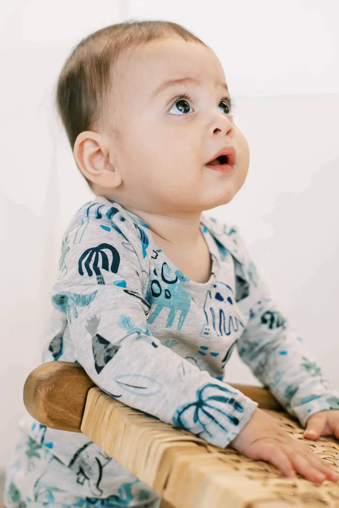 Long Sleeve Bodysuit Dinosaurs