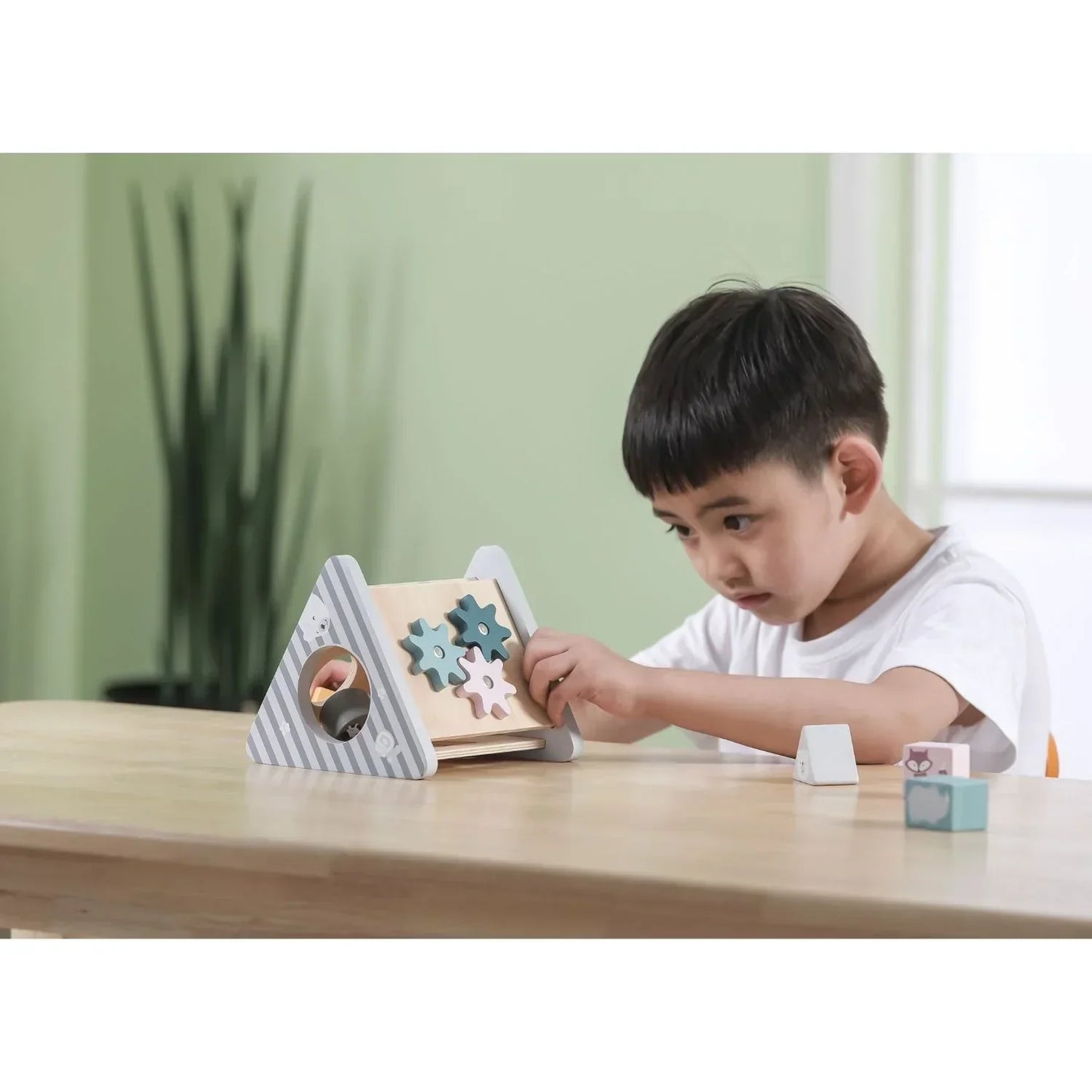 PolarB Shape Sorter & Gear Play