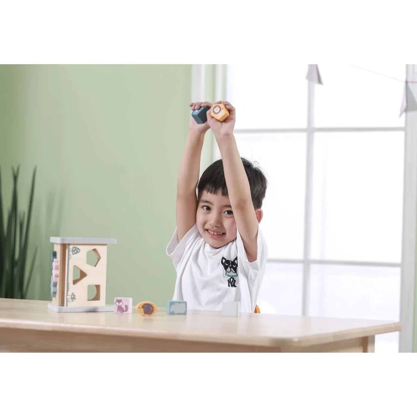 PolarB Shape Sorter & Gear Play