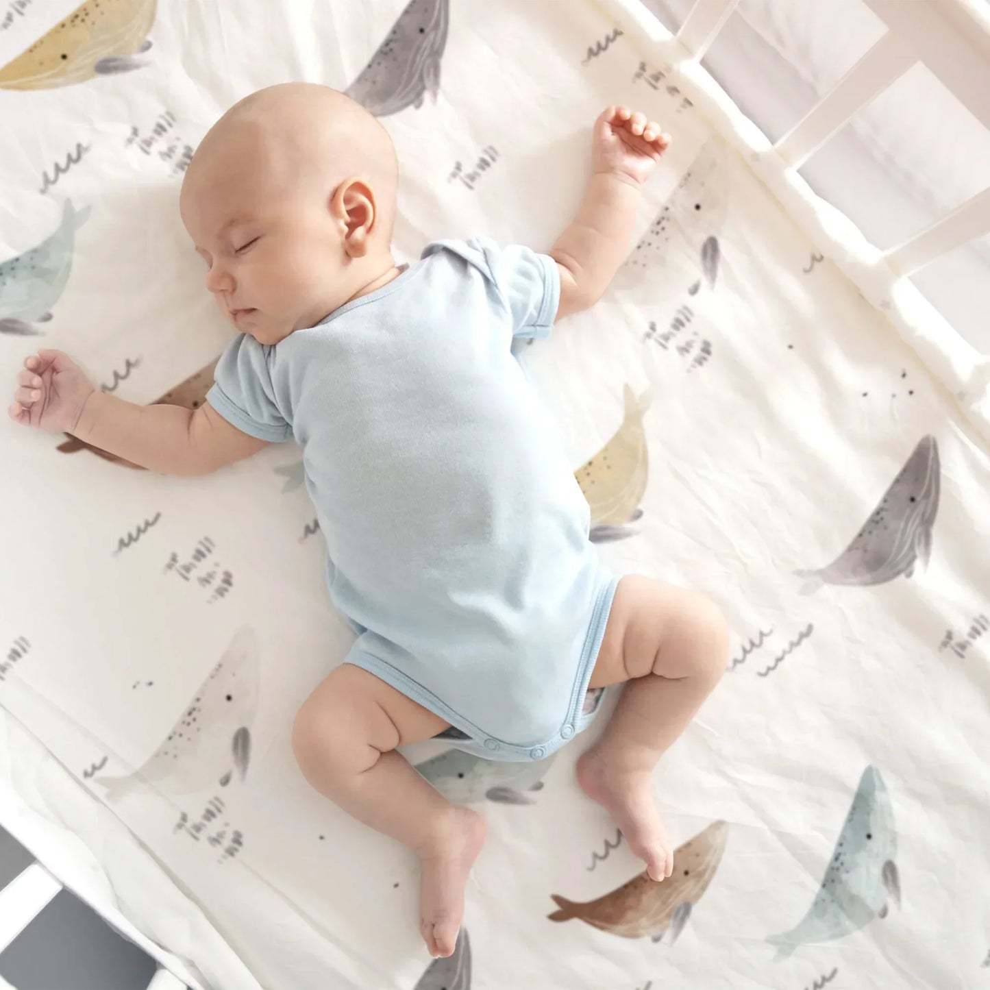 Crib Sheet Percale