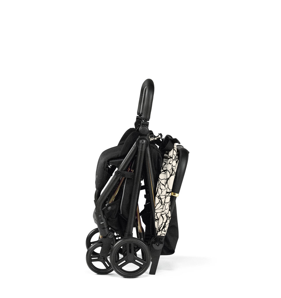 Peg Perego Selfie Stroller